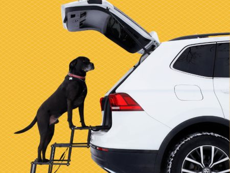 Escaliers de voiture pour chien on Sale