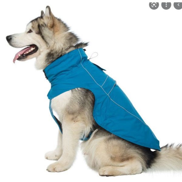 Veste pour chien Cinder Online Hot Sale