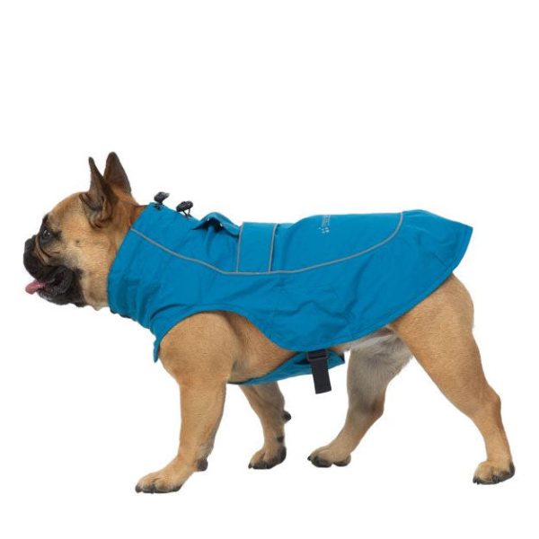 Veste pour chien Cinder Online Hot Sale