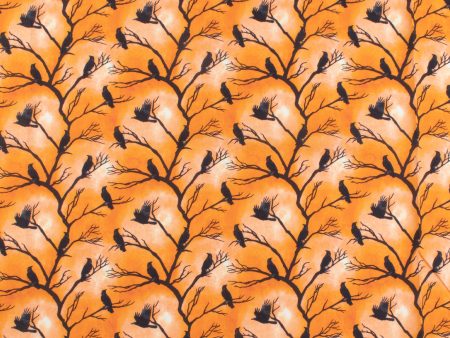 Windham Fabrics - Printed Cotton - FULL MOON - 002 - Pumpkin Sale