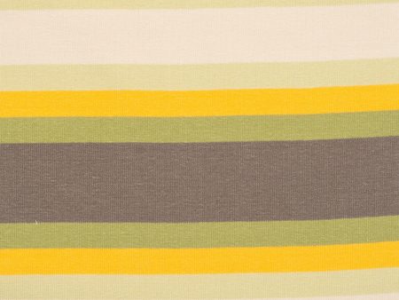 European Fleece Print - Stripes - Yellow   Green Online Sale